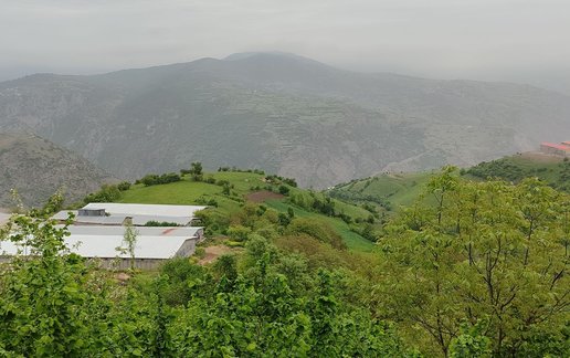 اجاره ویلا دوخوابه شیرکده