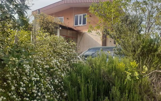 رزرو ویلا یک خوابه جنگلی حبیب