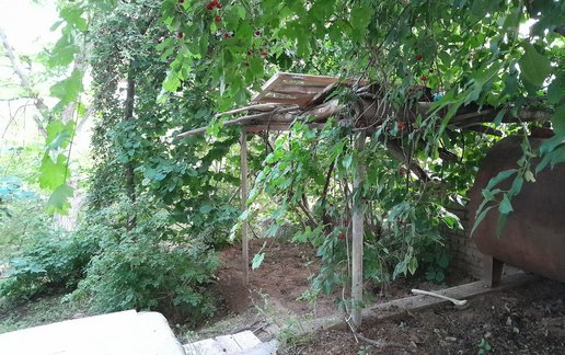 اجاره ویلا دوخوابه خانه کوهستان