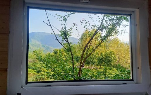 رزرو کلبه یک خوابه سوئیسی جنگلی بلوط 1