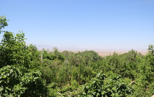 اجاره بوم گردی کوچه باغ باصفا واحد یک