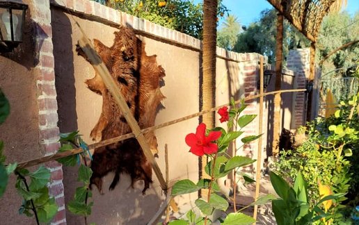 اجاره بوم گردی کلوت حرفه ای شهداد - واحد 1