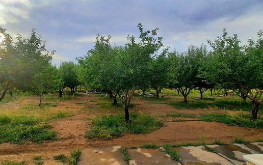 رزرو ویلا دوخوابه سرای اتراق