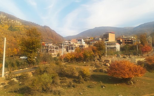 اجاره ویلا یک خوابه جنگلی زرجو