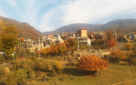 اجاره ویلا یک خوابه جنگلی زرجو