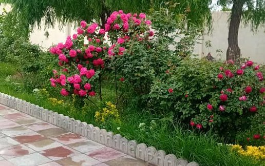 اجاره ویلا سه خوابه استخردار آبگرم رز 1