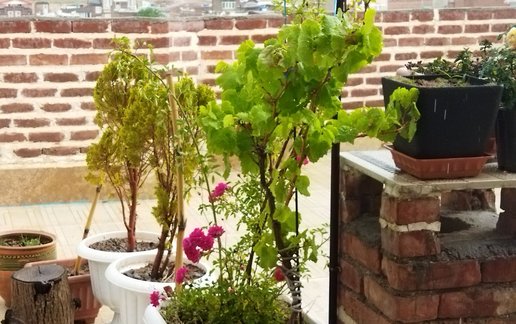سوئیت یک خوابه رحمانی 18
