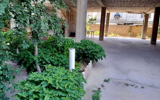 اجاره آپارتمان یک خوابه اقاقیا1