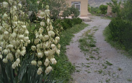 اجاره ویلا یک خوابه یوسفی 8