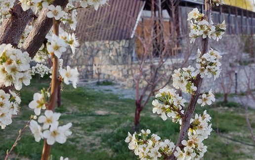 رزرو کلبه دوخوابه دوبلکس ایل