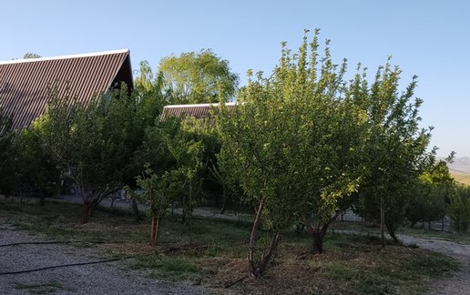 رزرو کلبه دوخوابه دوبلکس ایل