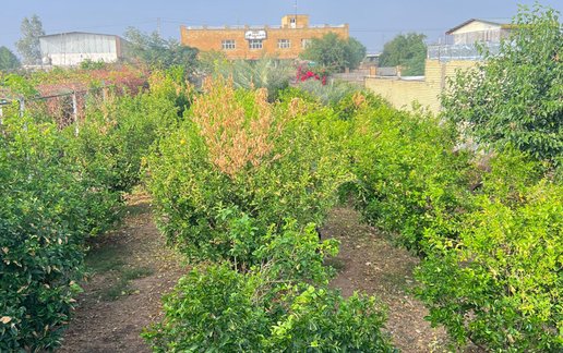 رزرو ویلا یک خوابه باغ آزادی فلاح