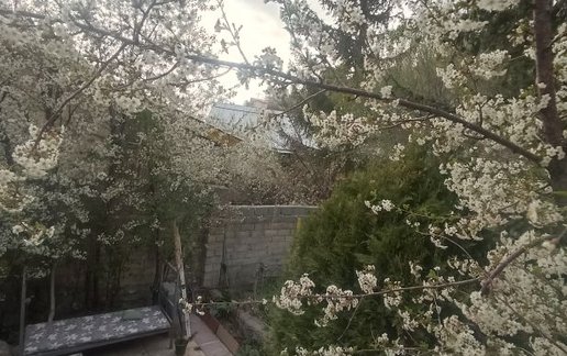 رزرو سوئیت فلت - جویجا