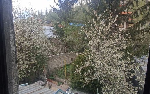 رزرو سوئیت فلت - جویجا