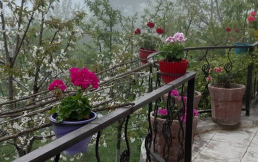 رزرو ویلا چهار خوابه سرمحمدی