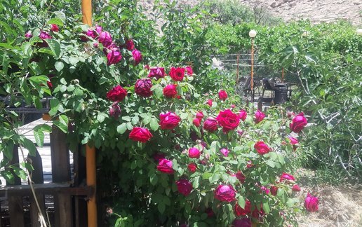 رزرو کلبه فلت کوهستانی ابشار
