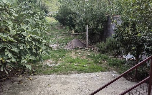 اجاره کلبه دوخوابه خورشید طلایی