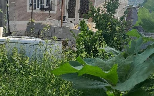 اجاره ویلا یک خوابه باغ کیانی