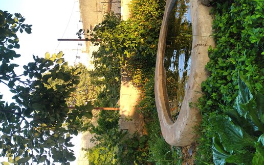 اجاره ویلا یک خوابه باغ کیانی