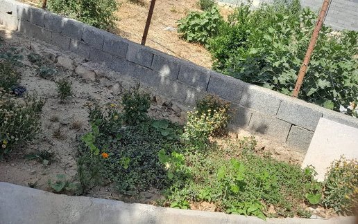 اجاره ویلا یک خوابه باغ کیانی