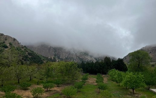 رزرو کلبه یک خوابه تنبوران