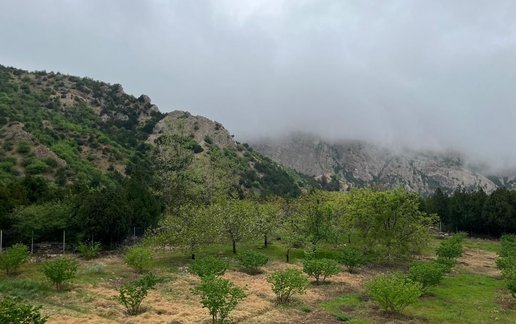 رزرو کلبه یک خوابه تنبوران