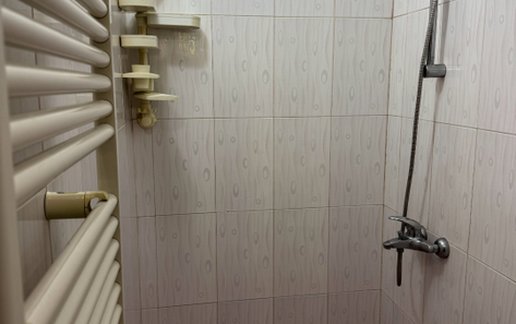اجاره آپارتمان یک خوابه دیزین اسنو