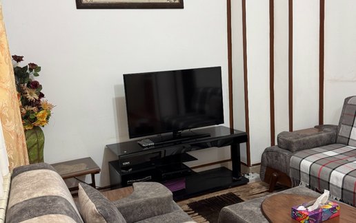 اجاره آپارتمان یک خوابه دیزین اسنو