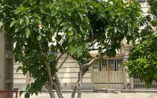 رزرو سوئیت دوخوابه بهشت 7
