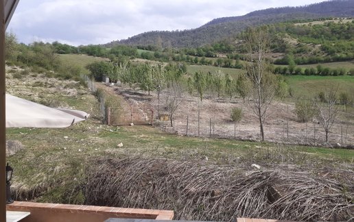 رزرو کلبه یک خوابه ارم بوم ۳
