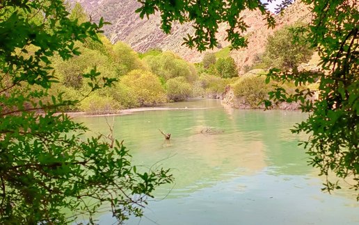 اجاره ویلا یک خوابه سپی