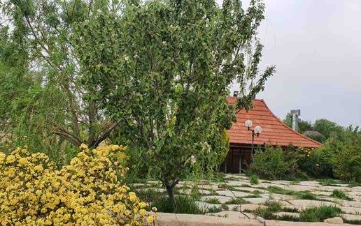 رزرو کلبه یک خوابه فرانسوی برکه 2