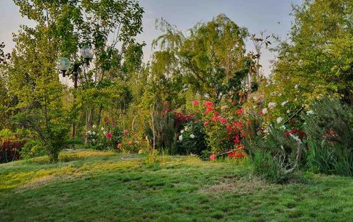 اجاره کلبه دوخوابه سوئیسی برکه 1
