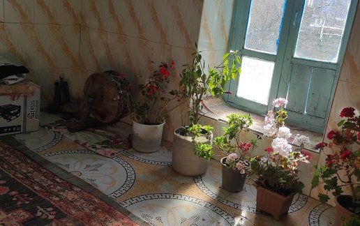 رزرو کلبه فلت زری نه نه