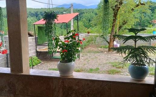 اجاره سوئیت یک خوابه جنگلی تُرنگ