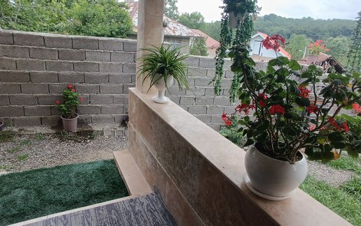 اجاره سوئیت یک خوابه جنگلی تُرنگ
