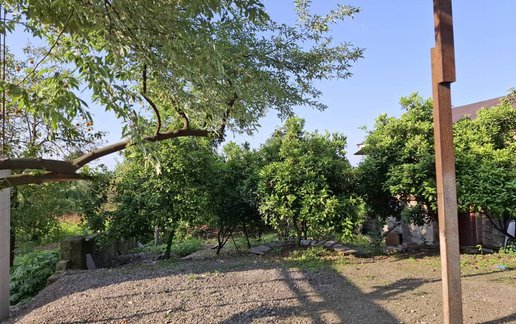 اجاره آپارتمان یک خوابه چمران 2