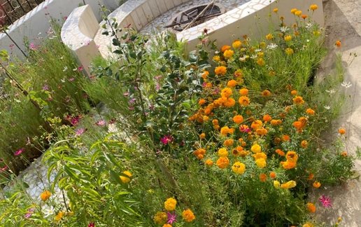 اجاره سوئیت یک خوابه کوهستانی دل سنگ