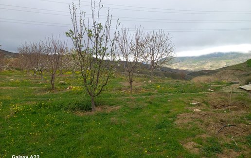 اجاره ویلا ویلا هوراند امینی