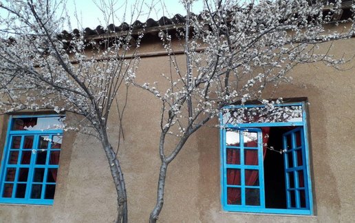 بوم گردی ننه بی بی - واحد زنبق