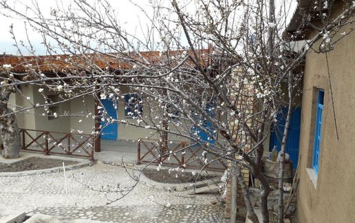 بوم گردی ننه بی بی - واحد زنبق
