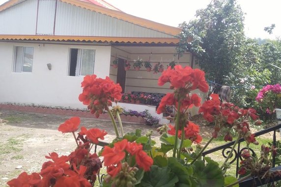 اجاره ویلا دوخوابه جنگلی یاسین