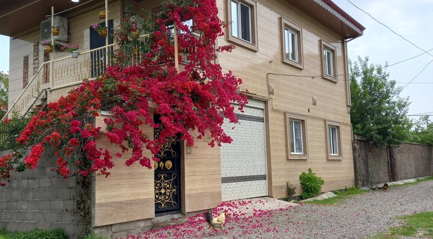 سوئیت یک خوابه سقالکسار جیرده