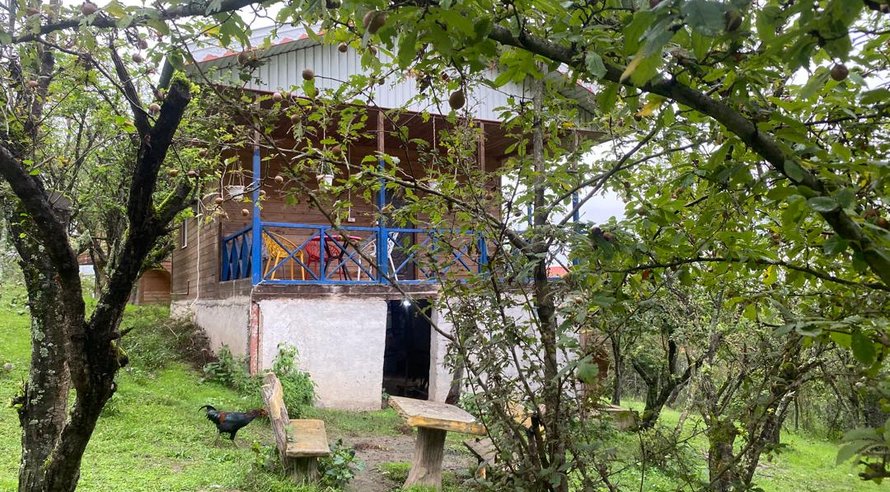 مجتمع اقامتگاهی یک خوابه چوبی شریفی 3