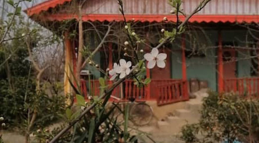 اقامتگاه سنتی خونه باغ کوچه مارپیچ - سوئیت واران