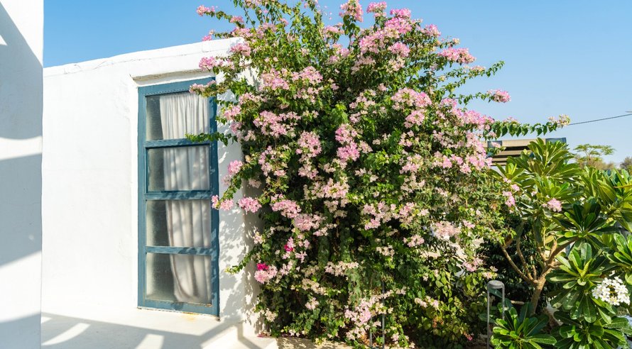 بوم گردی دنسه نوم فلت - واحد 7