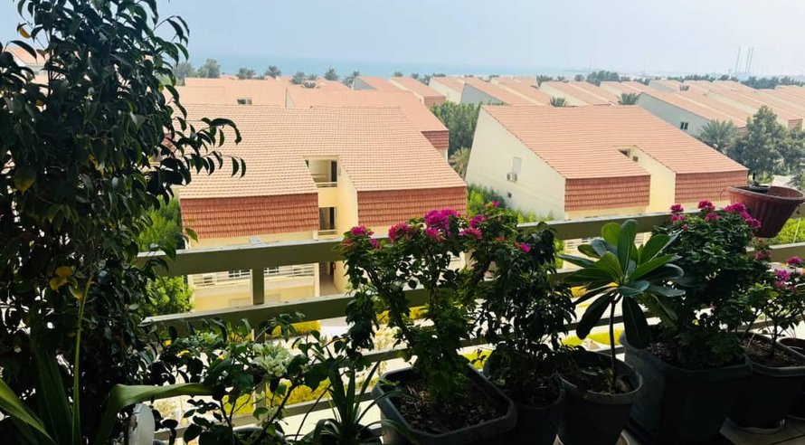 آپارتمان یک خوابه ساحلی دامون 1