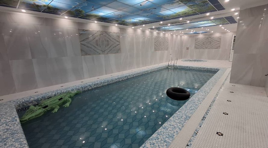 ویلا پنج خوابه استخردار آبگرم داوودی