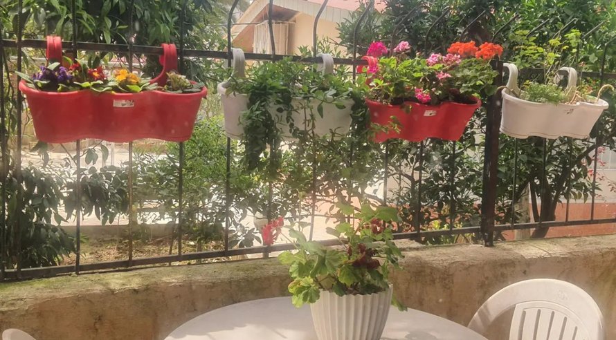 ویلا دوخوابه آووکادو