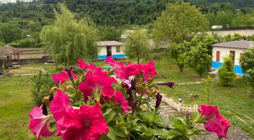 اجاره ویلا دوخوابه دوبلکس جنگلی دران 2 ماسال